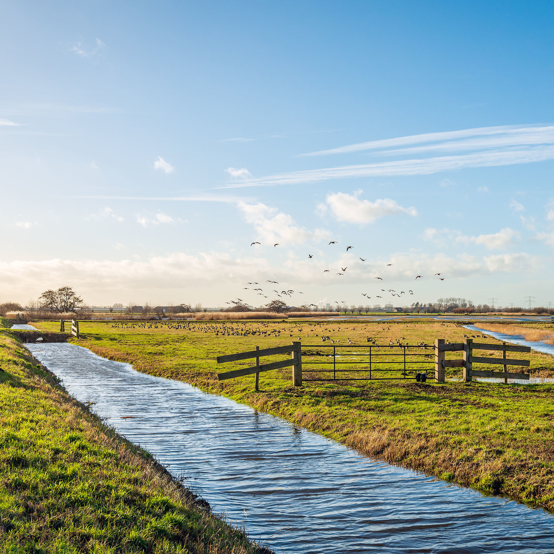 registraties waterschappen