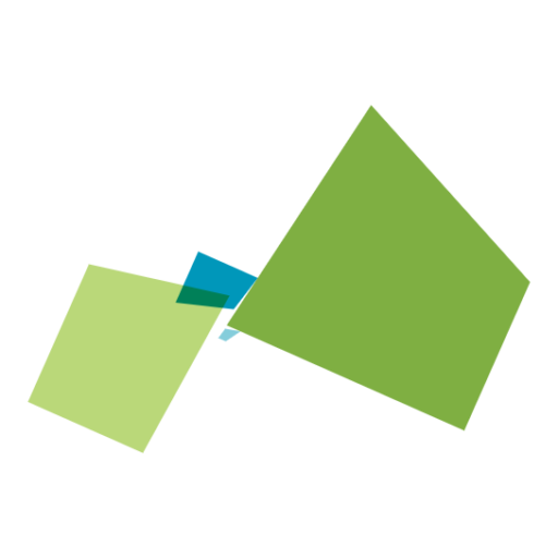 developer node vue js