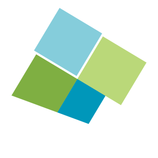 Full Stack developer
