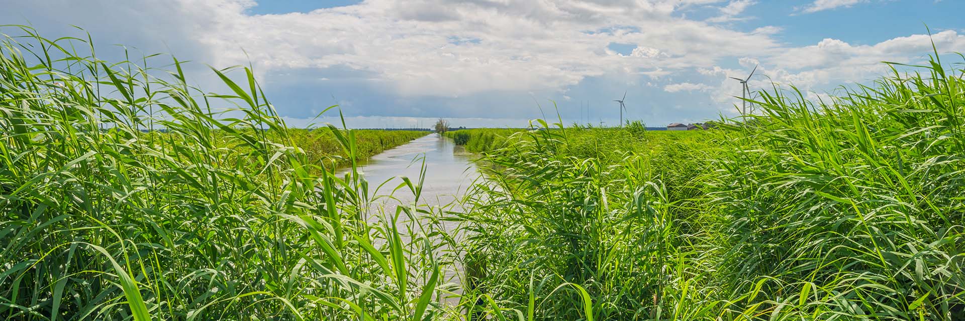 Digitatale schouw met Schouw M. App voor waterschappen